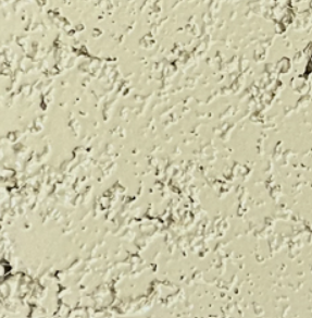 Close-up of a textured beige wall surface