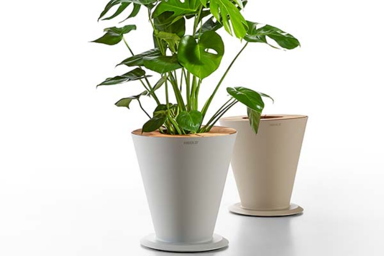 Higold Icoo Flower Pot – Latte- HGA-30589864