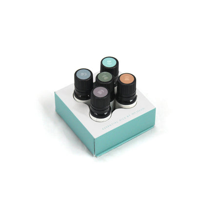 Mr.Steam MS ESSENTIAL 5 Essential Aroma Oil, 5-Pack, 10mL