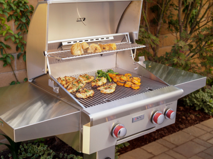 American Outdoor Grill 24" In-Ground Post L-Series Natural Gas Grill - 24NGL