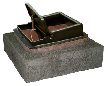Stone Age Manufacturing SA DAMPER, 17 x 17 TOP MOUNT (-SA-CF12117)