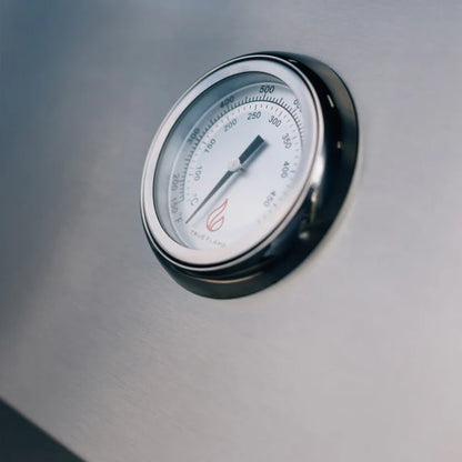 TrueFlame E Series 25" 3 Burner Gas Grill - TFE25L