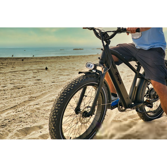 Dirwin Pioneer Fat Tire Electric Bike