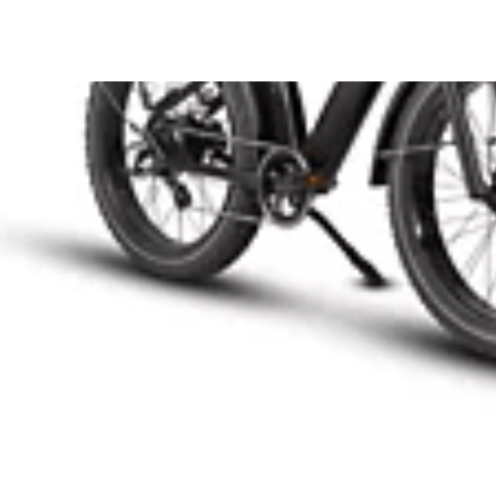 Dirwin Pioneer Fat Tire Electric Bike